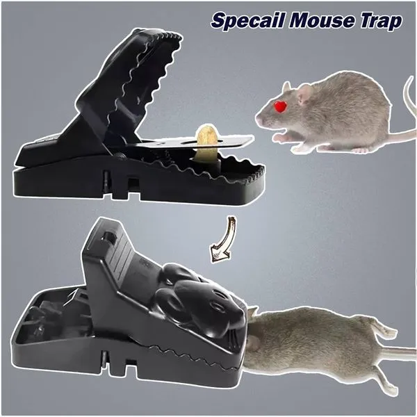 Special Mouse Trap - শক্তিশালী ইঁদুর মারার ফাঁদ
